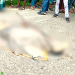 ছবি : সংগৃহিত