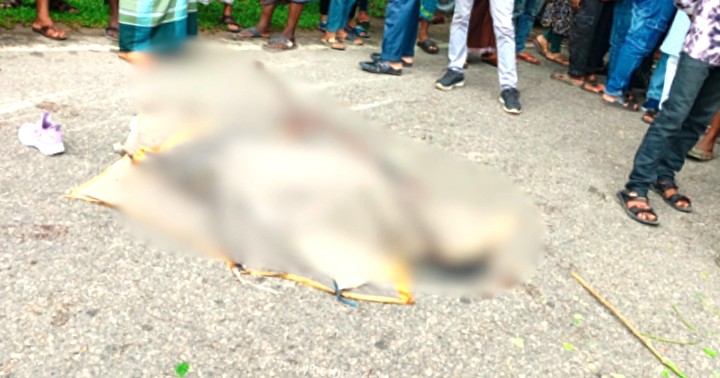 ছবি : সংগৃহিত